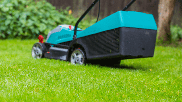 best cordless lawn mowers