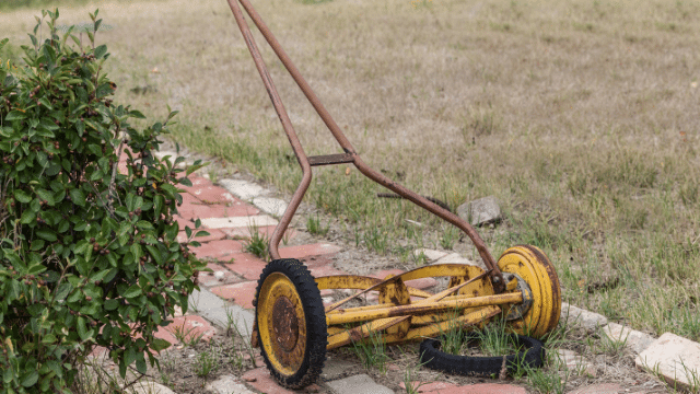 best push reel lawn mowers